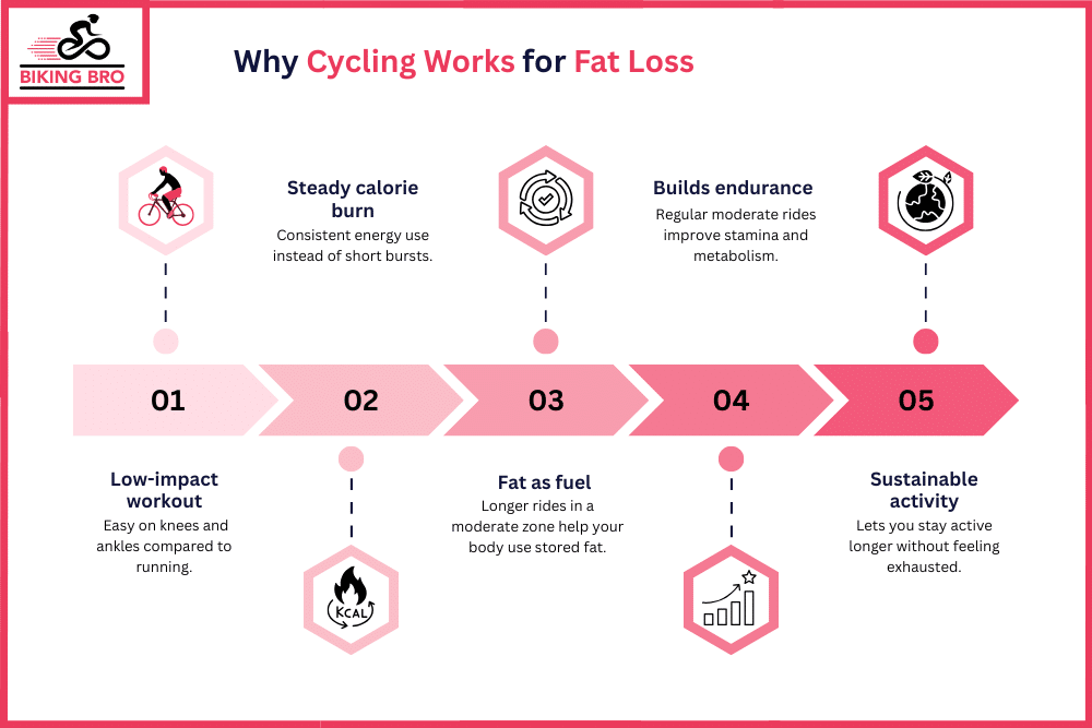 Why Cycling Works For Fat Loss
