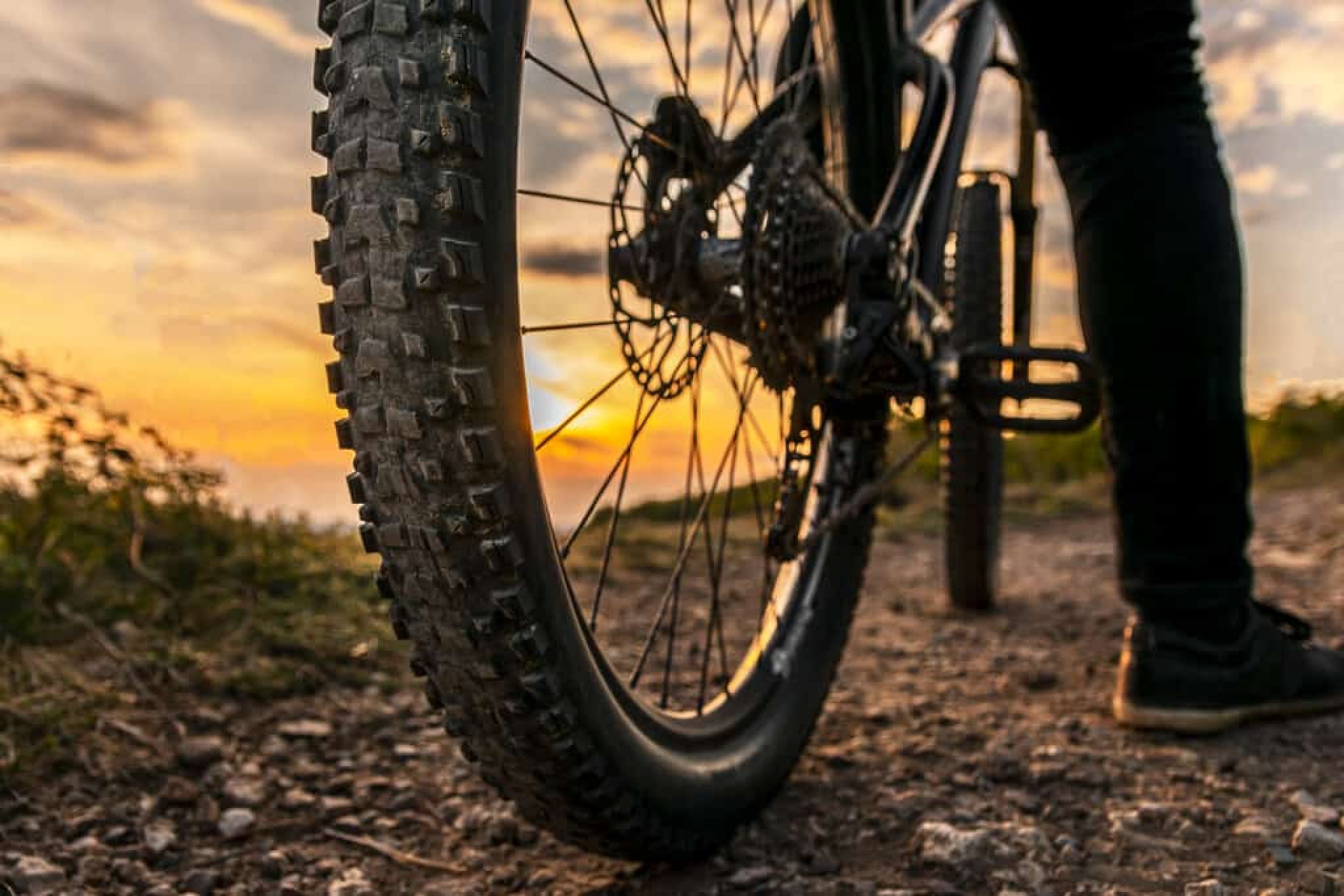 How Long Do Bike Tires Last BikingBro