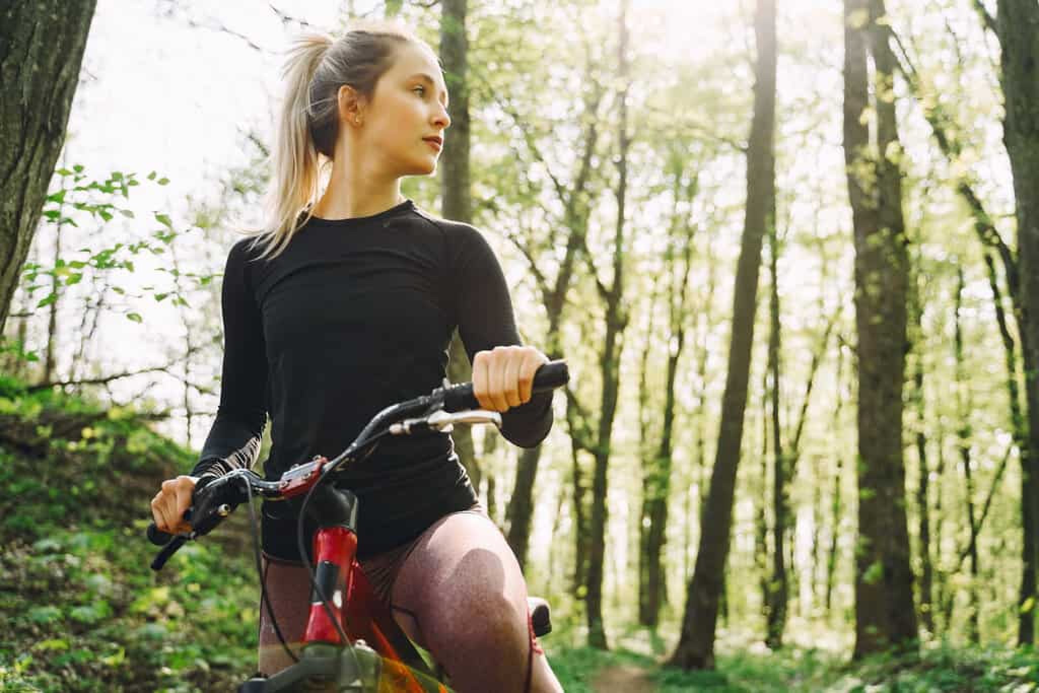 womens large bike