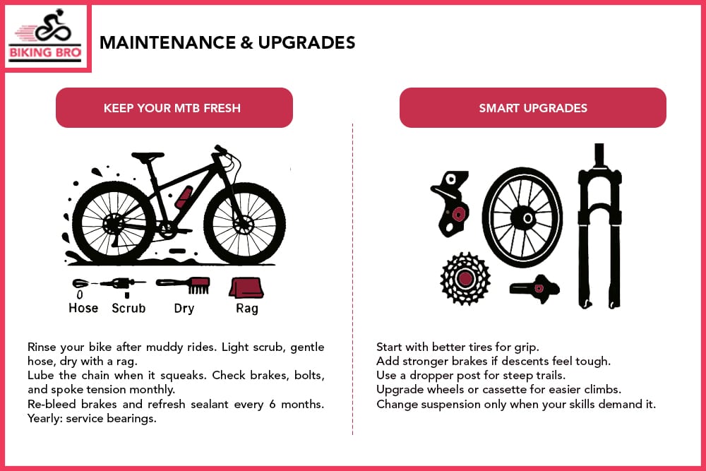 Maintenance & Upgrades
