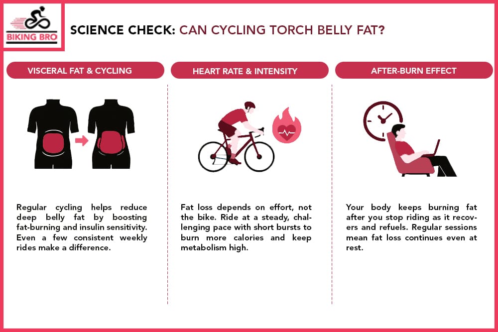 Science Check Can Cycling Torch Belly Fat